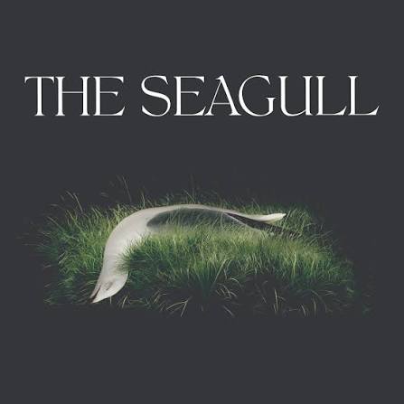 The Seagull poster